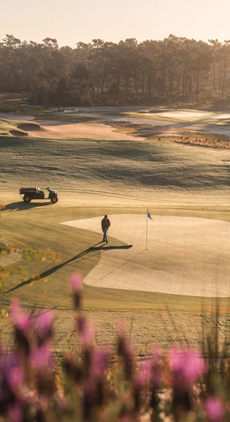 Jhogg Torre AR508816